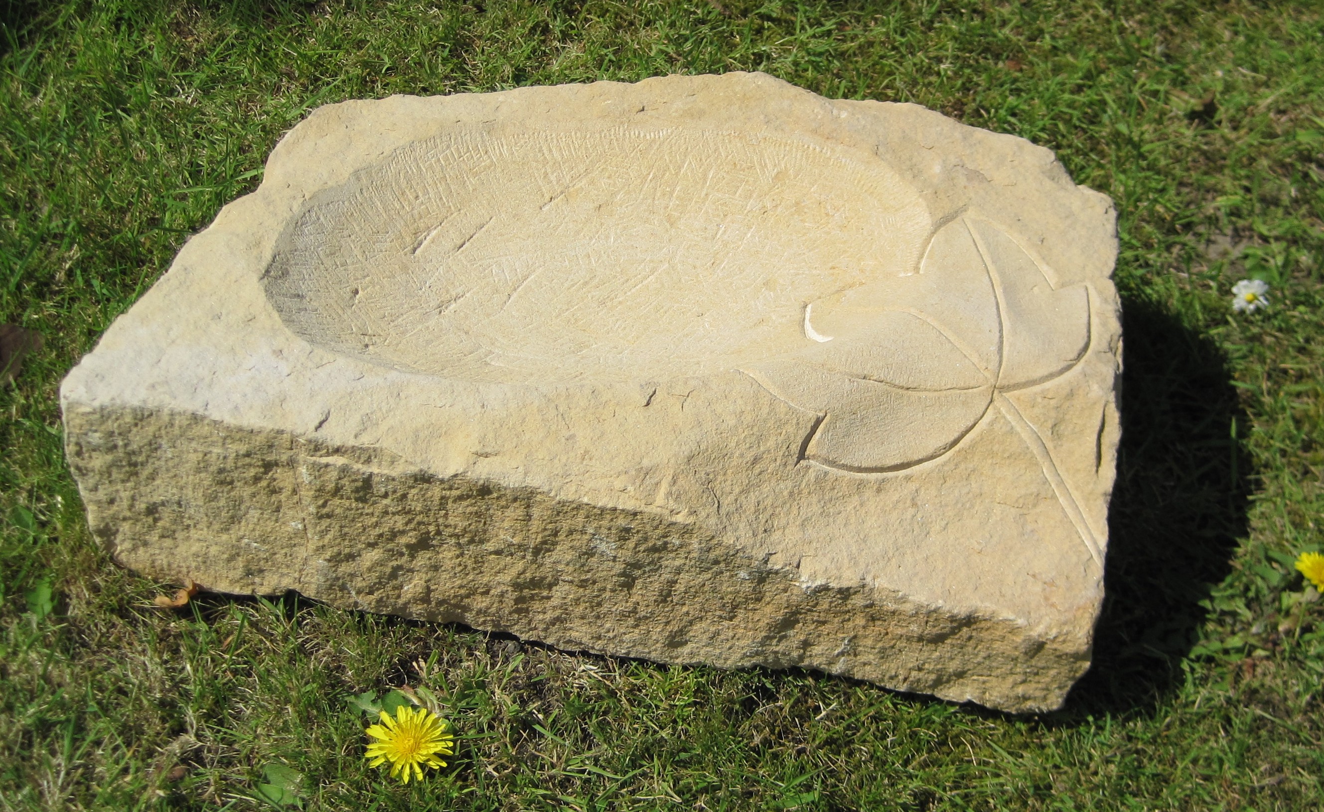 Vogeltränke 10