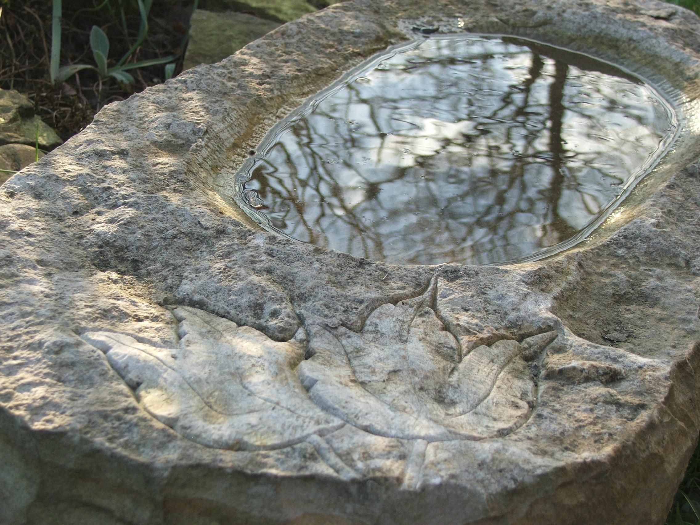 Vogeltränke 2